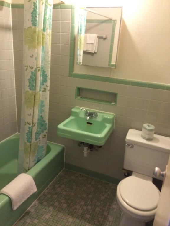 Budget Inn Downtown Mobile Værelse billede